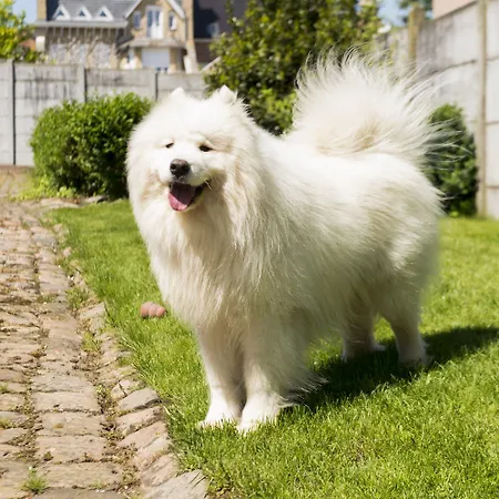 Logis - Belle Hotel, Lille-ouest Hotel 3*